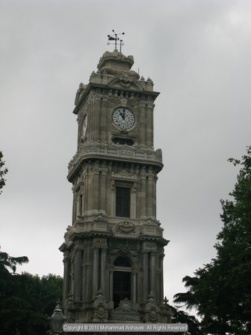 Gallery Photo 3